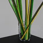 Ruthenium 2* روديه