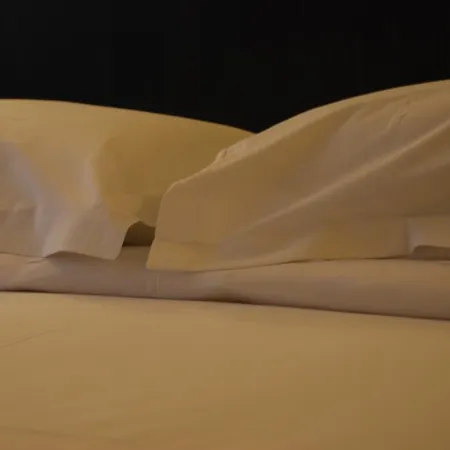 鲁瑟尼乌姆酒店 2* 罗德兹