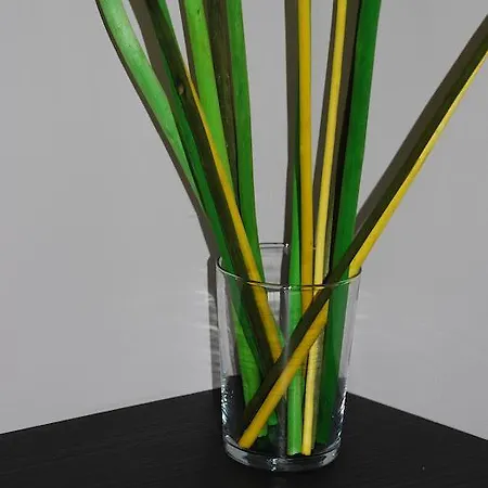 鲁瑟尼乌姆酒店 2* 罗德兹